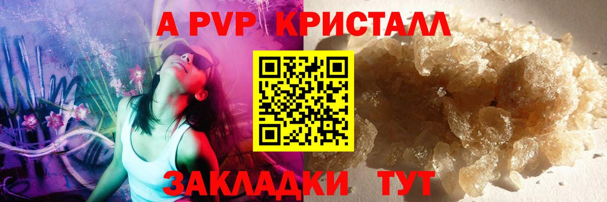 A PVP СК КРИС Богородицк